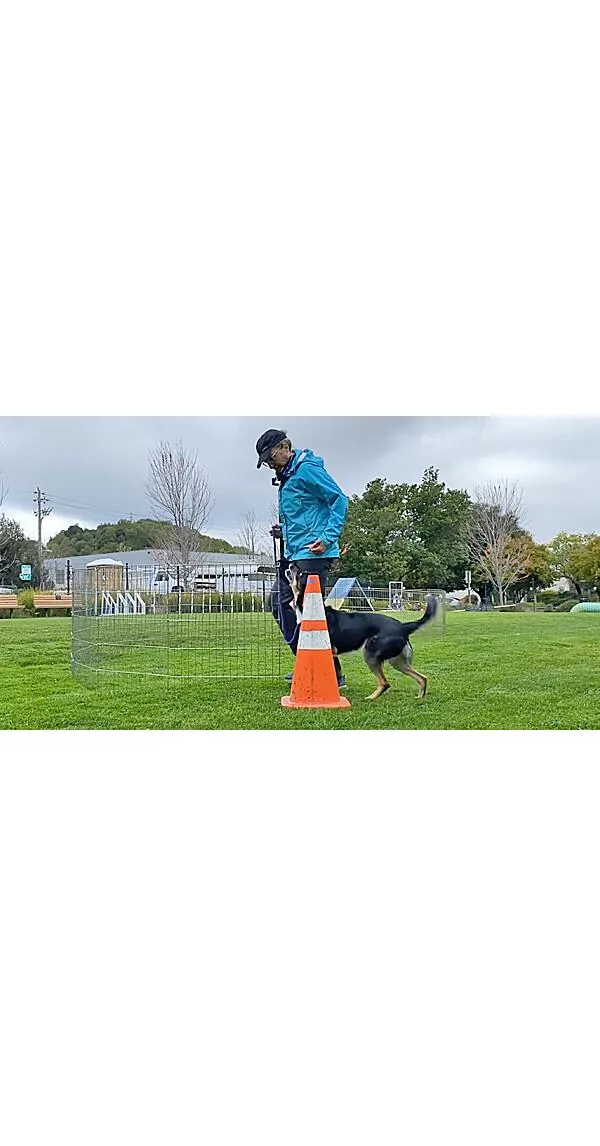 Channel Heeling: A Fun & Easy Way to Teach Heeling for Dog Sports