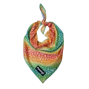 Chasing Rainbows Cooling Bandana