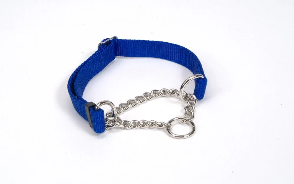Check-Choke Adjustable Check Training Dog Collar Blue 3/4 in x 14-20 in