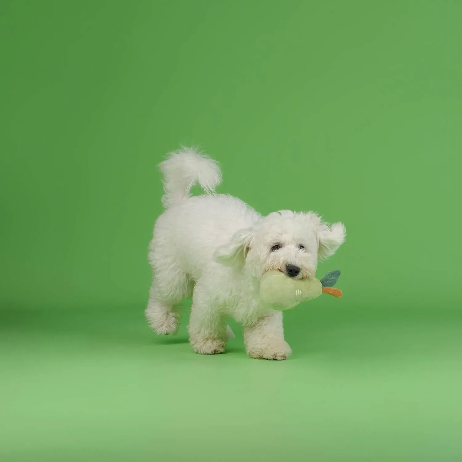 CHEWFFON - CHEWFFON Fruit Plush Squeaky Dog Toy Set - Image 2