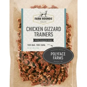 Chicken Gizzard Trainers
