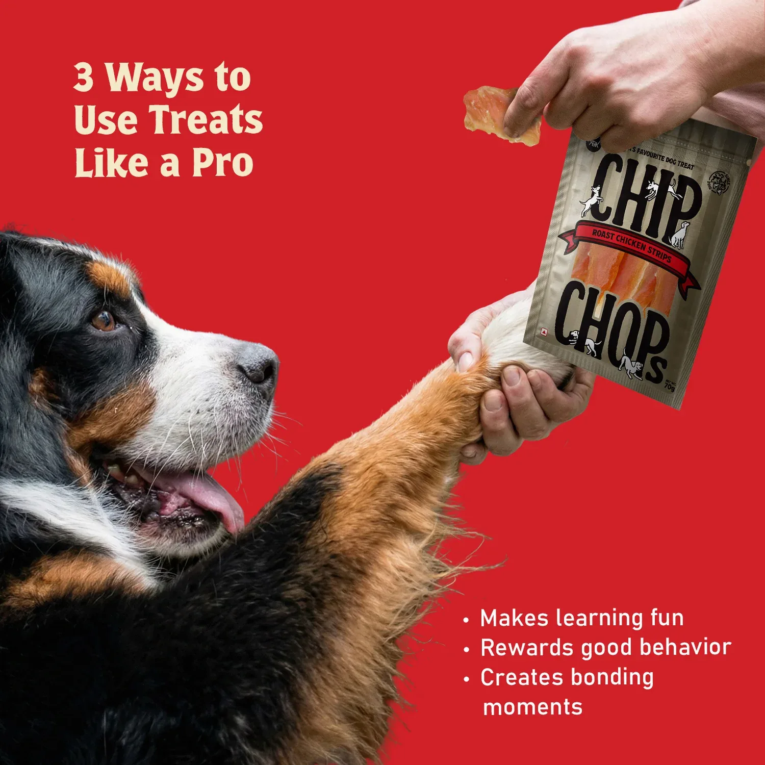 Chip Chops Roast Chicken Strips Dog Treats - Image 2