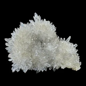Chrysanthemum Stone