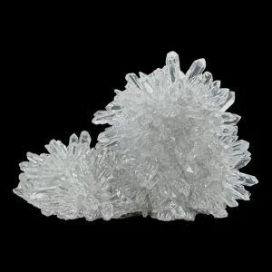 Chrysanthemum Stone