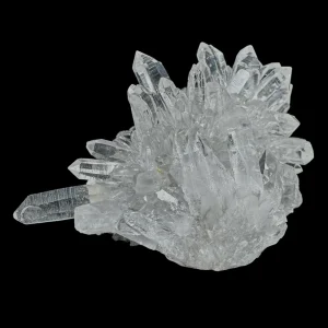 Chrysanthemum Stone