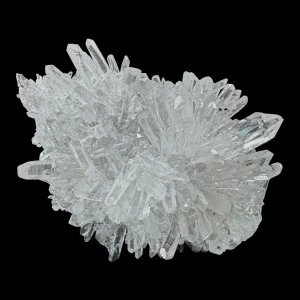 Chrysanthemum Stone