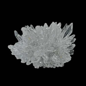 Chrysanthemum Stone