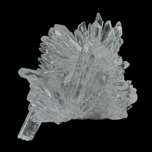 Chrysanthemum Stone
