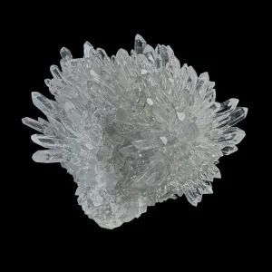 Chrysanthemum Stone
