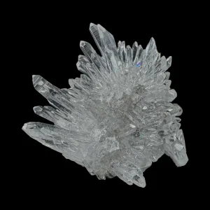 Chrysanthemum Stone
