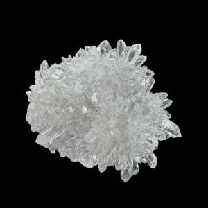 Chrysanthemum Stone