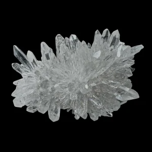 Chrysanthemum Stone