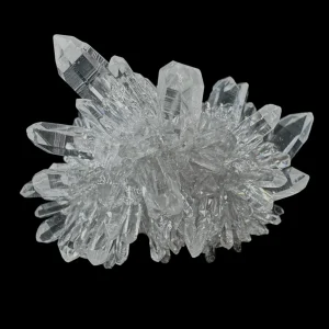 Chrysanthemum Stone
