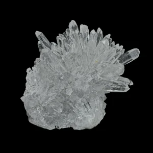 Chrysanthemum Stone