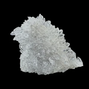 Chrysanthemum Stone