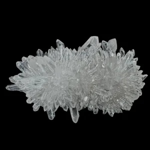 Chrysanthemum Stone