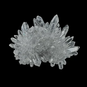 Chrysanthemum Stone