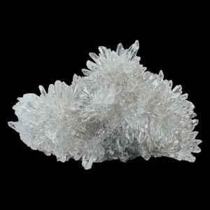 Chrysanthemum Stone