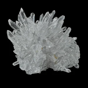 Chrysanthemum Stone
