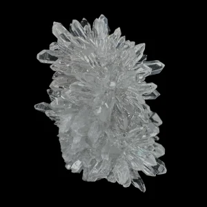 Chrysanthemum Stone