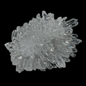 Chrysanthemum Stone