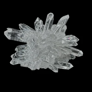 Chrysanthemum Stone