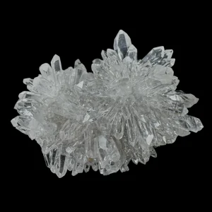 Chrysanthemum Stone