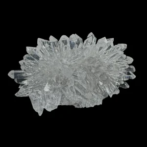 Chrysanthemum Stone