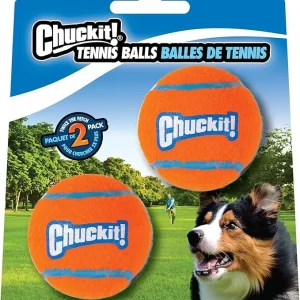 ChuckIt Dog Tennis Ball