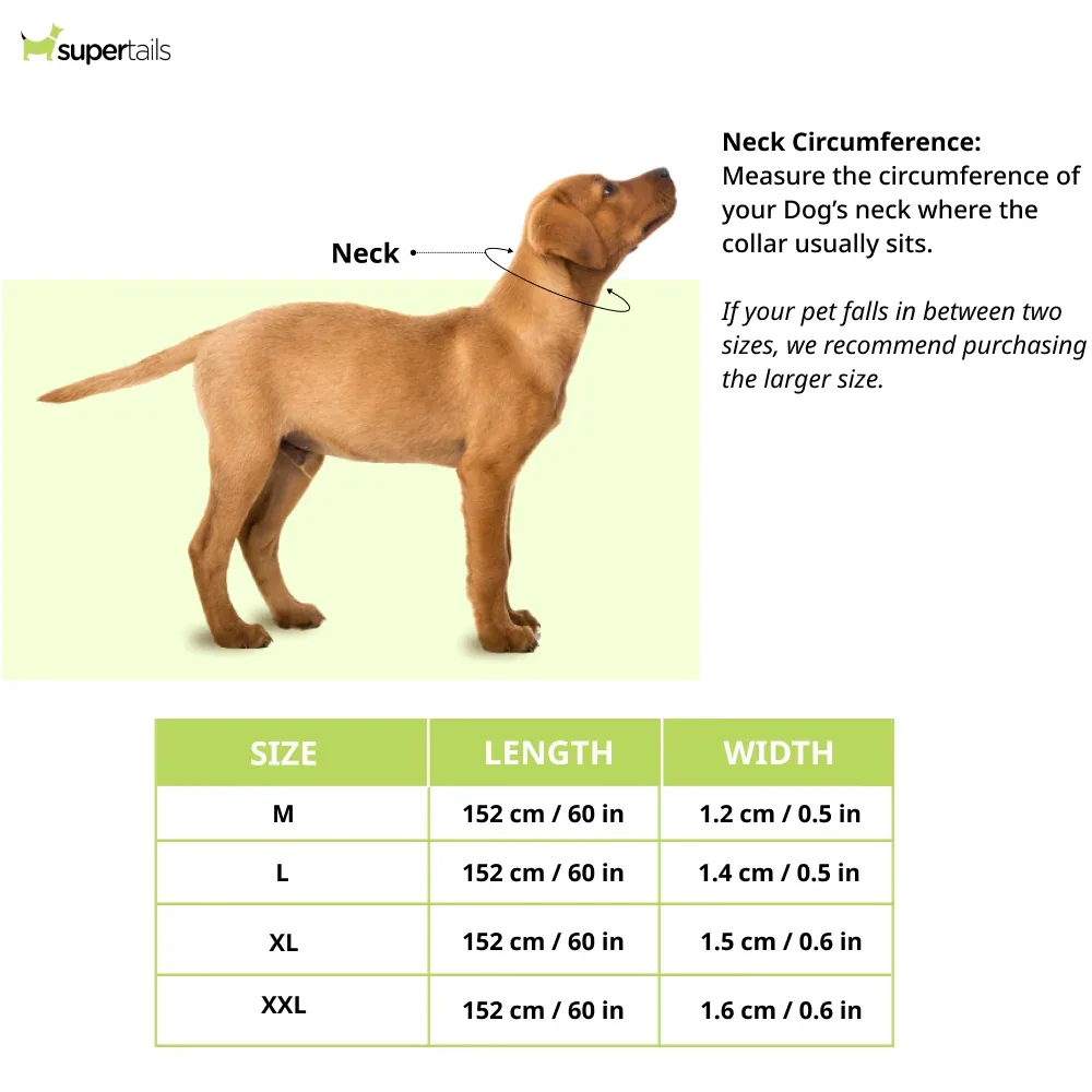 Chullbull Heavy Duty Chain Leash for Dogs (Silver) - Image 2
