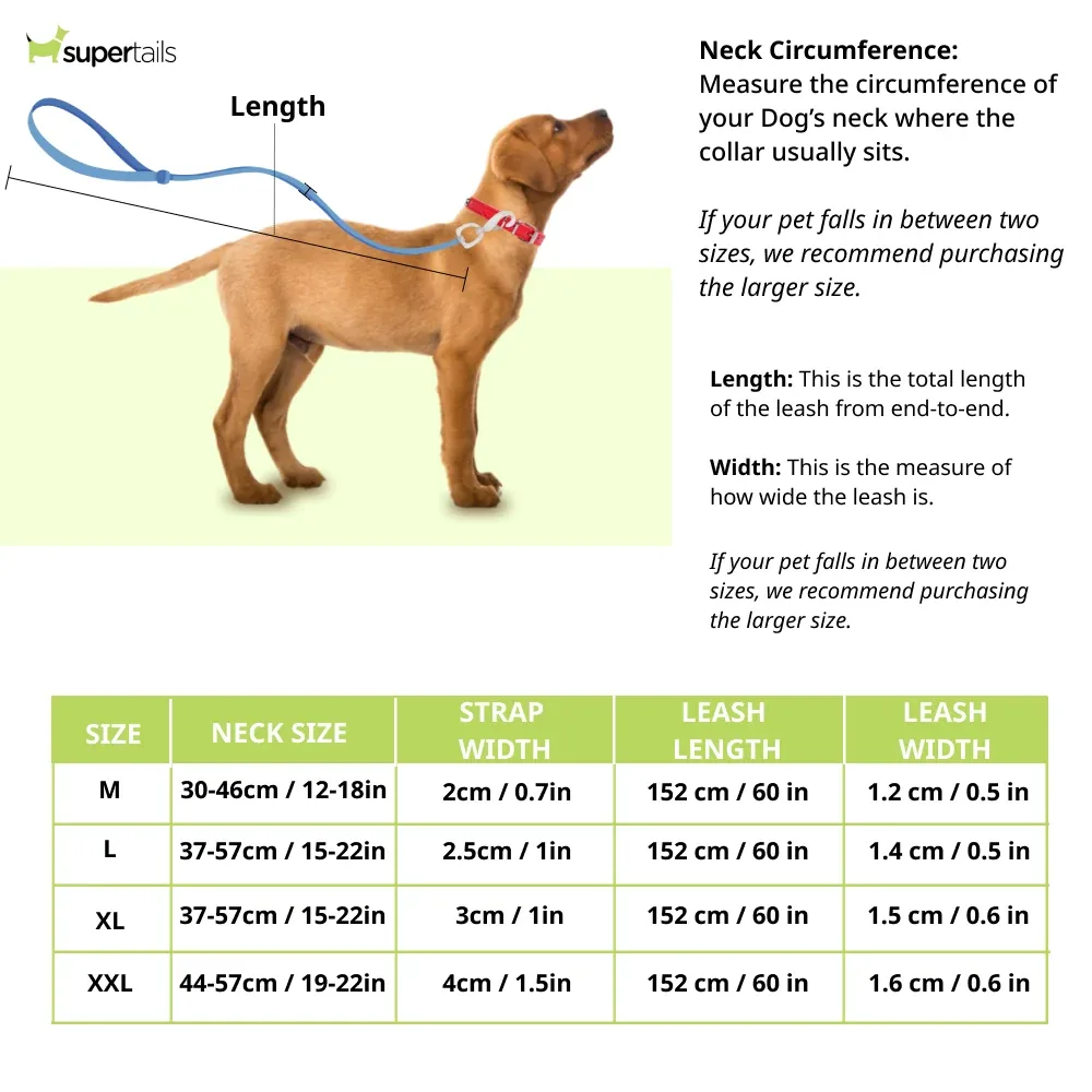 Chullbull Nylon Collar and Heavy Chain Leash for Dogs (Black) - Image 2