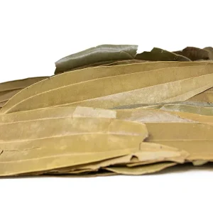 Cinnamon Leaves