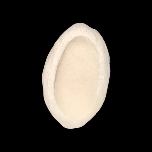 Clam Holder Small
