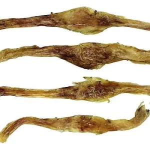 Clean Run Bark 'N Big USA Bison Large Tendons - 9-11 in.