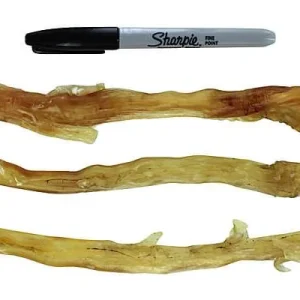 Clean Run Barking Buddha USA Black Angus Beef Tendons