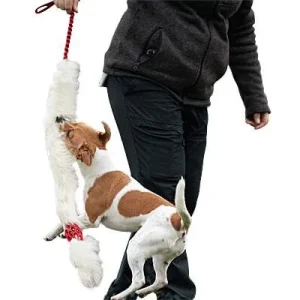Clean Run Doggie-Zen Bungee Hol-ee Comet Sheepskin Chaser, DZ-7559