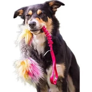 Clean Run Doggie-Zen Bungee Rabbit Squeaker Tug, DZ-7450