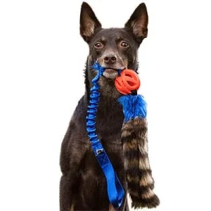 Clean Run Doggie-Zen Bungee Raccoon Tail Tugs with Breathe Right Ball