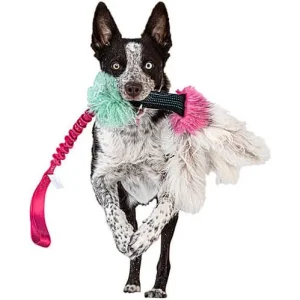 Clean Run Doggie-Zen Bungee Squeaker Octopus Tug with Sheepskin, DZ-7520