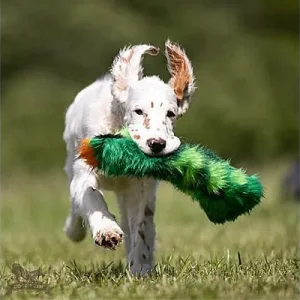 Clean Run Doggie-Zen Crinkle Cactus, DZ-7871