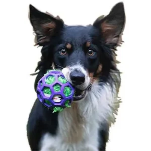 Clean Run Doggie-Zen Hol-ee Stuffer - Faux Fur with Crinkle, DZ-7338