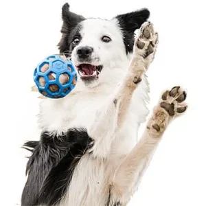 Clean Run Doggie-Zen Hol-ee Stuffer - Fox Fur with Squeaker, DZ-7941