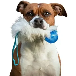 Clean Run Doggie-Zen Pocket Sheepskin Tug with Squeezz Ball, DZ-7231