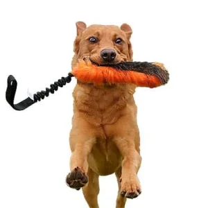 Clean Run Doggie-Zen Wild Boar n' Faux Fur Bungee Tug, DZ-8110