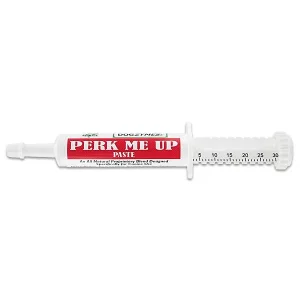 Clean Run Dogzymes Perk Me Up Paste