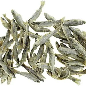 Clean Run Dot's Delights Freeze-Dried Treats - Minnows, 2 oz.