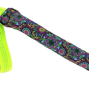 Clean Run Dynamite Tug Stick - Flower Power