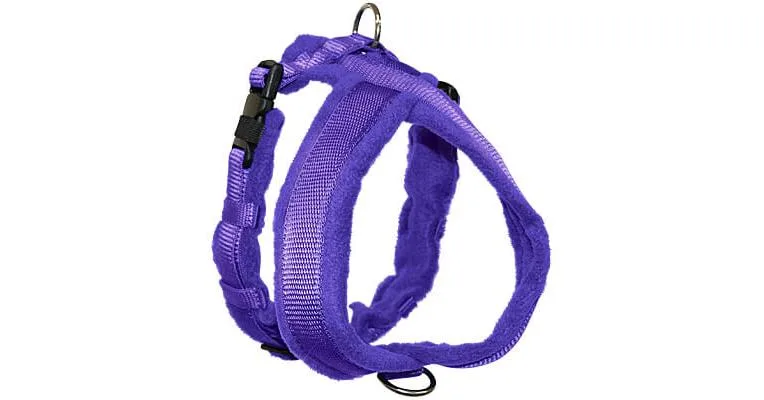 Clean Run eDog Classic Fleece Harness