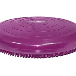 Clean Run FitPAWS Balance Disc - 14 in.