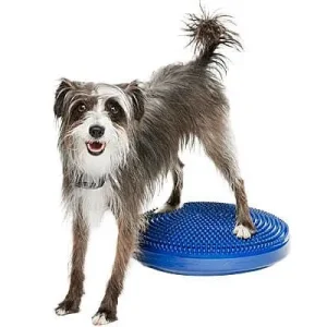 Clean Run FitPAWS Balance Disc - 18 in.